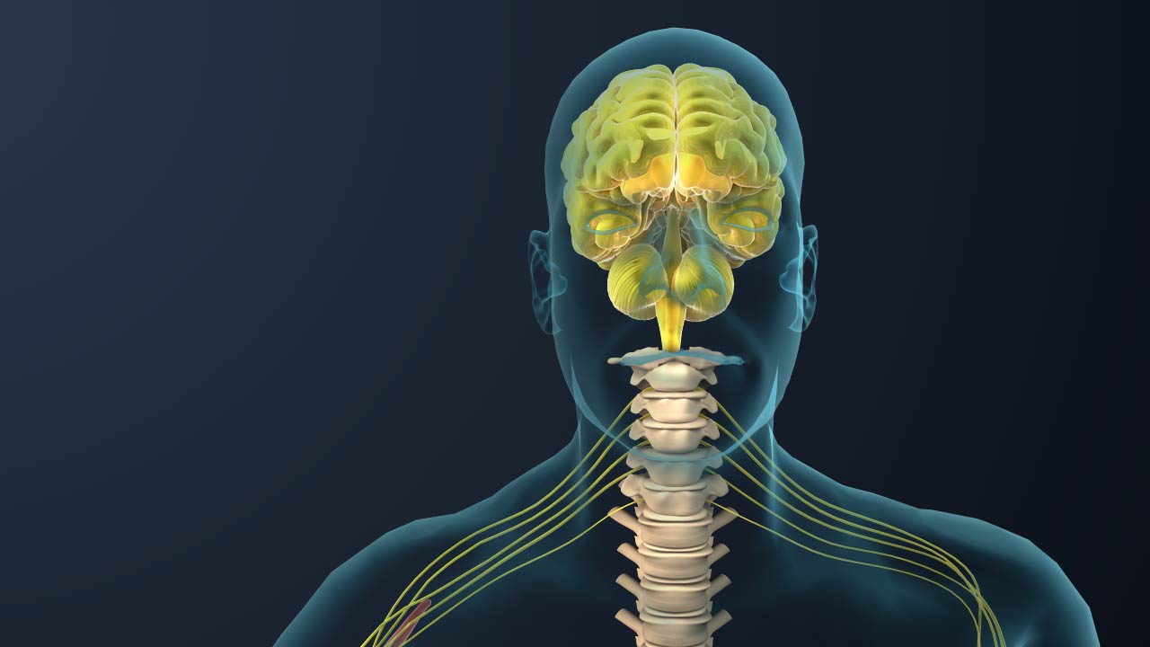 人體手術(shù)三維動(dòng)畫(huà).jpg 人體手術(shù)三維動(dòng)畫(huà).jpg