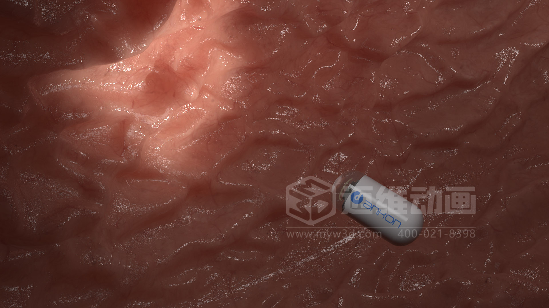 磁控膠囊機(jī)器人三維動(dòng)畫(圖6)