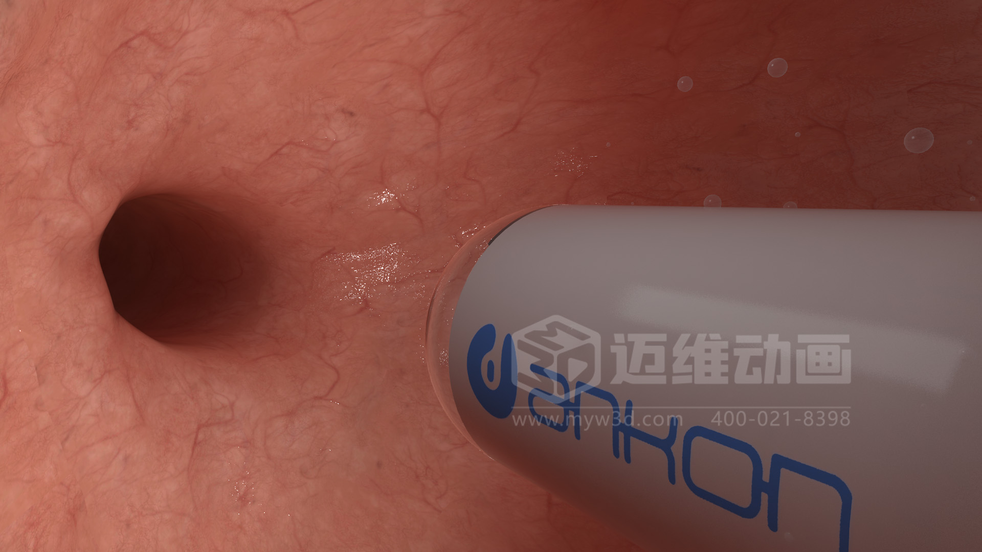 磁控膠囊機(jī)器人三維動(dòng)畫(圖4)