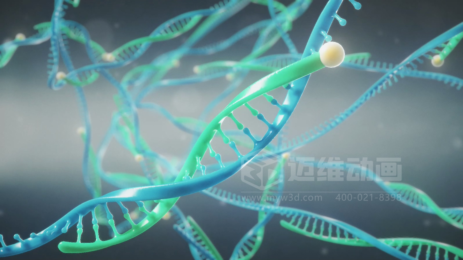 醫(yī)療分子生物學(xué)三維動(dòng)畫(圖2)