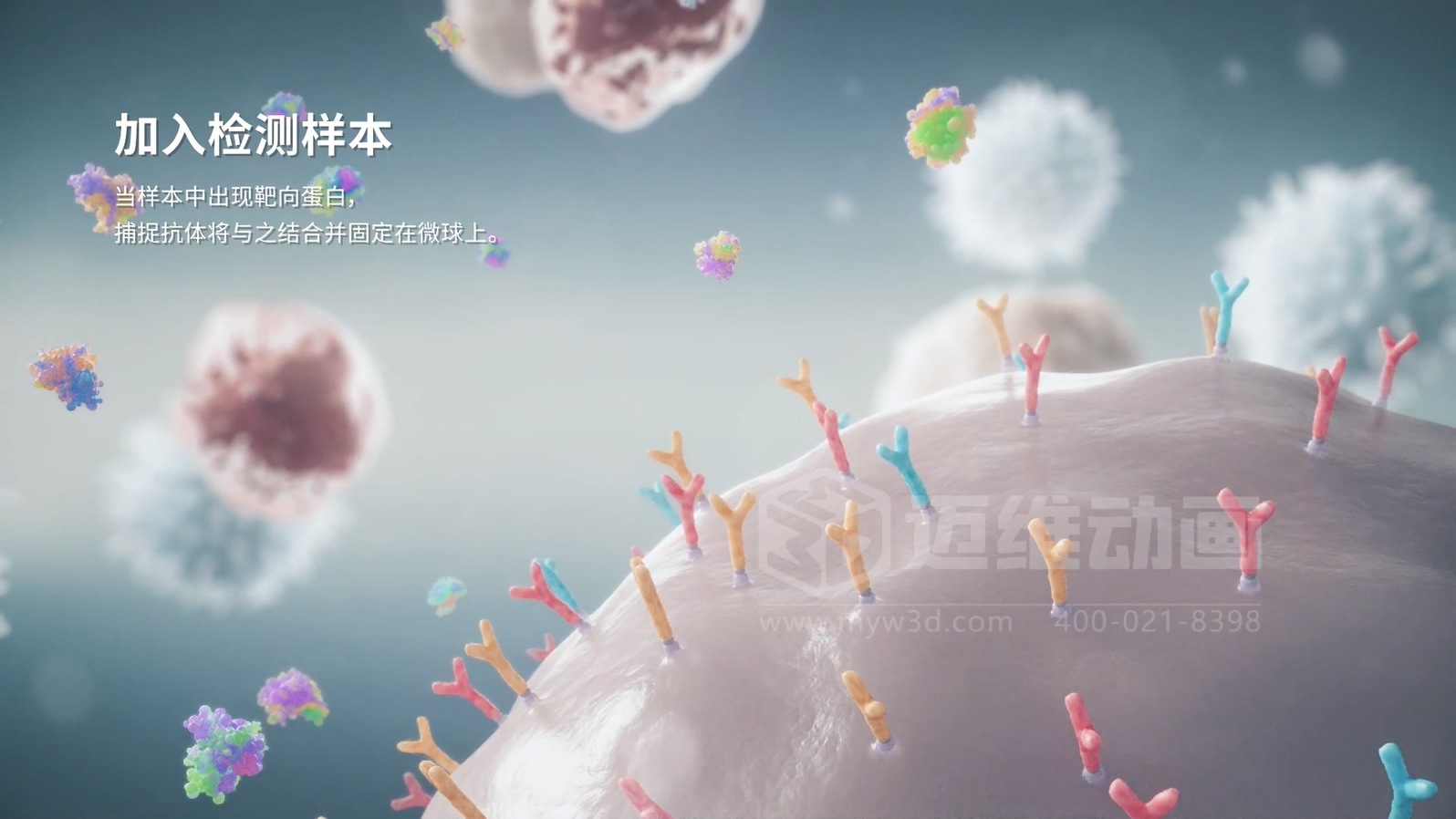 微觀世界竟能“動(dòng)”起來(lái)？生物科技三維動(dòng)畫帶你沉浸式探索生命奧秘(圖2)